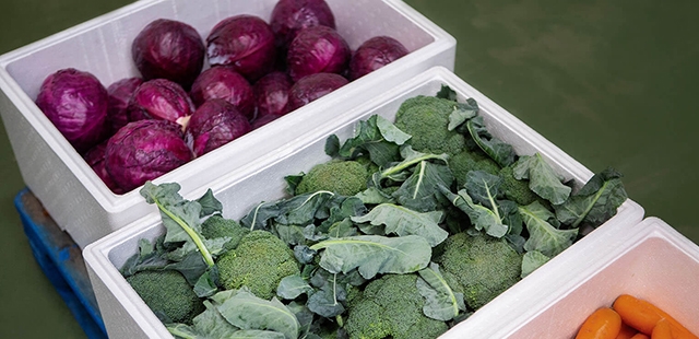 泡沫箱生產(chǎn)設(shè)備首先福建翡柯機(jī)械的理由