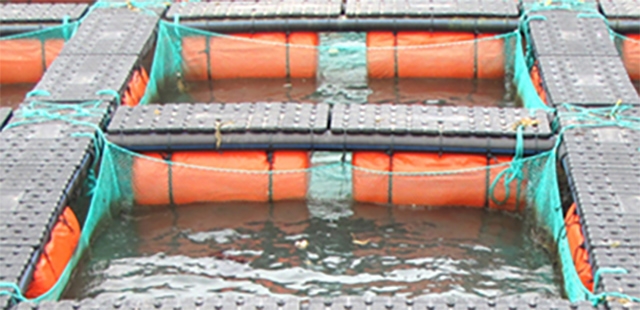 epp材料會致癌嗎EPP包裝