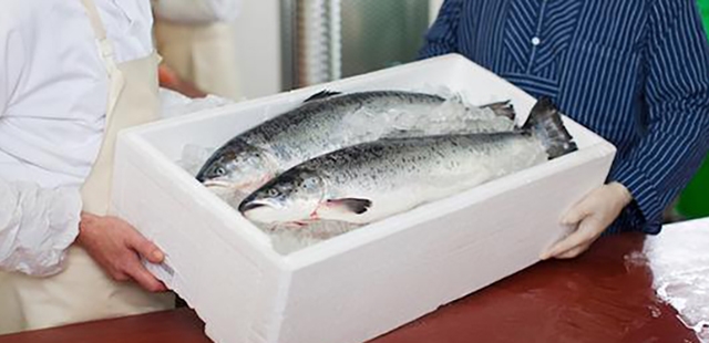 泡沫包裝箱在使用中發(fā)揮作用是什么